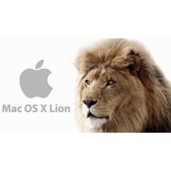 „Mac OS X Lion“ diegimas USB atmintinėje
