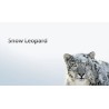 Mac OS X Snow Leopardin asentaminen USB-muistitikulle